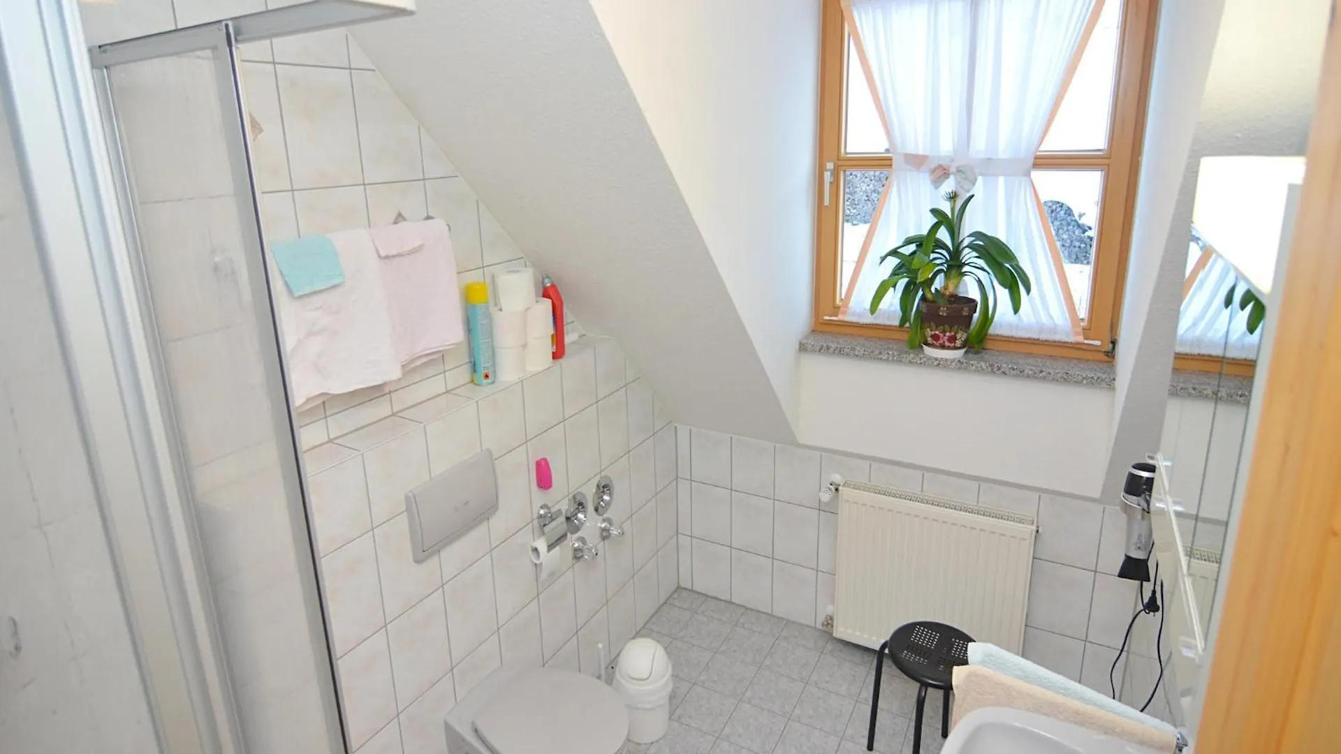 Spacious Apartment With Sauna In Schonsee Dietersdorf Germany